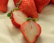 いちごキャンペーン開始！